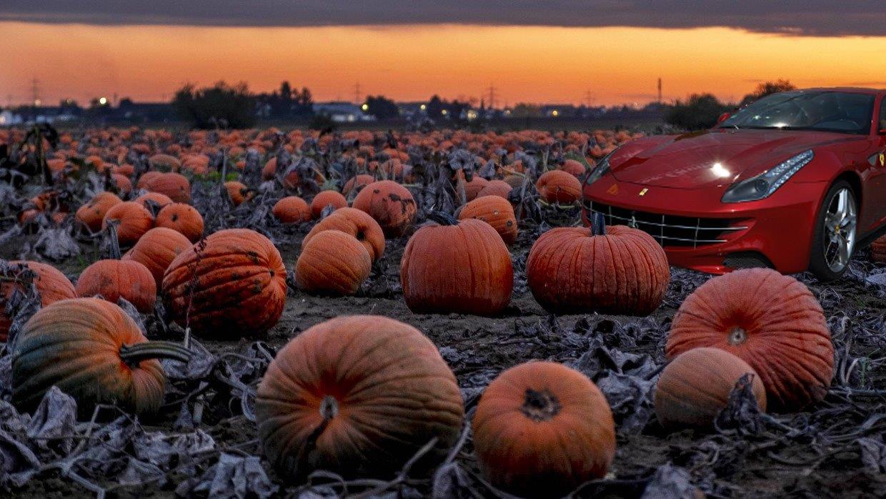 98 halloween header 98 halloween header